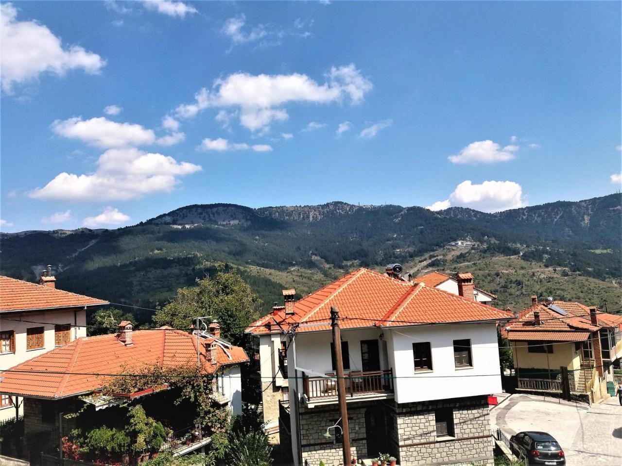 Hotel Acropolis Metsovo Exterior photo
