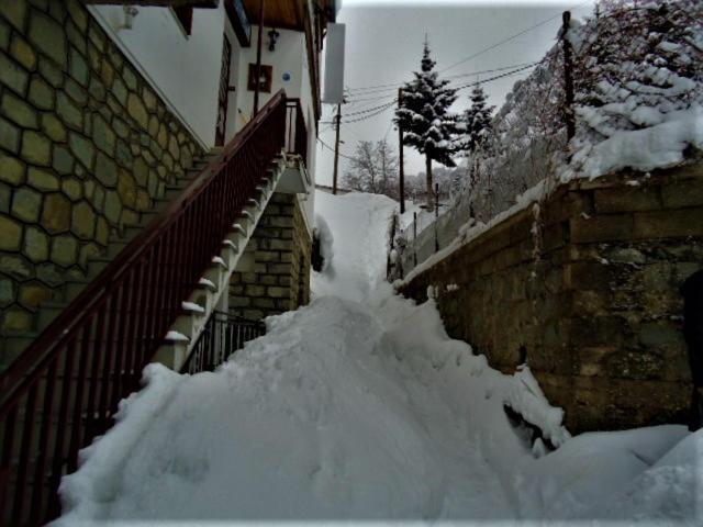 Hotel Acropolis Metsovo Exterior photo